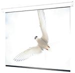 Draper 116240 119 Inch Targa HDTV Motorized Screen (Matte White)