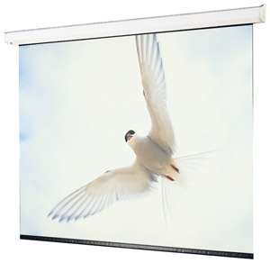 Draper 116247 119 Inch Targa HDTV Motorized Screen (High Contrast Gray)