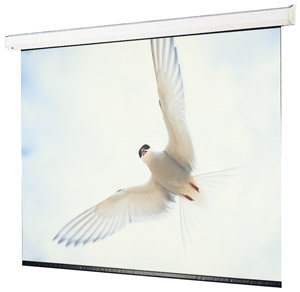 Draper 116304 92 Inch Targa HDTV Motorized Screen (High Contrast Gray)