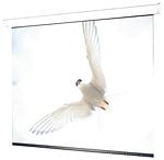 Draper 116305 106 Inch Targa HDTV Motorized Screen (High Contrast Gray)