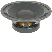 Eminence BETA-10A Professional Series 10 Inch Pro Audio Subwoofer