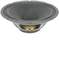 Eminence BETA-12A-II Professional Series 12 Inch Pro Audio Subwoofer