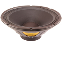 Eminence BETA-15A Professional Series 15 Inch Subwoofer