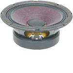 Eminence BETA-8A Professional Series 8 Inch Subwoofer