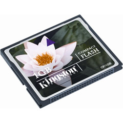 Kingston CF/1GB CompactFlash Card