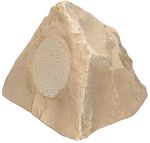 TIC TFS0 CN Economy Terra-Forms Speakers  (Canyon)