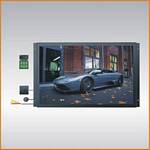TView TRP170 17 Inch 1280 x 768 RGB RAW Custom Mount LCD Monitor W/ VGA & RCA INPUT